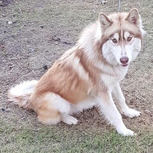 Meet your Posher, Avery